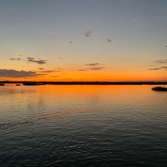 Meet your Posher, Ricky - Picture 1 of 1